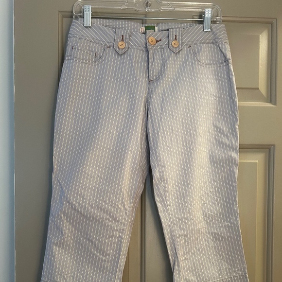 Gray Stripe Cropped Pants Size 2 - Picture 1 of 3